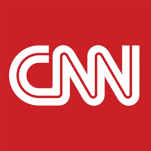 Logo Lettermark CNN